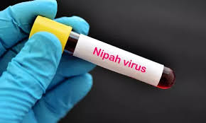 10nipa.jpg