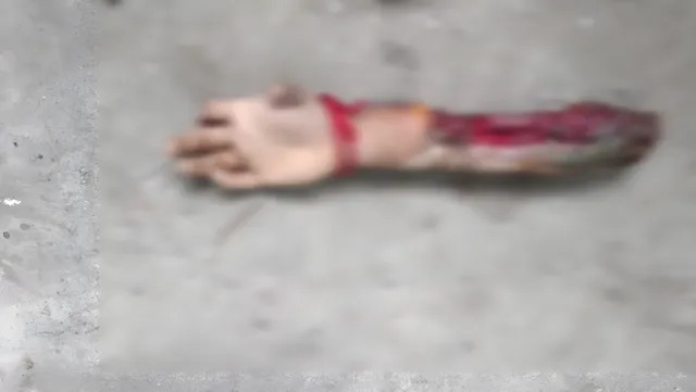 11vedu.jpg