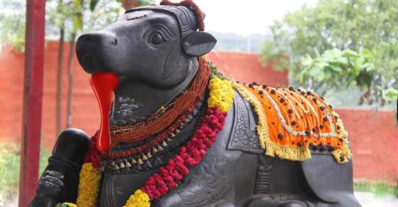 நாளை பிரதோஷம்.. என்ன செய்யலாம்? என்ன செய்யக்கூடாது? பிரதோஷம்..!!