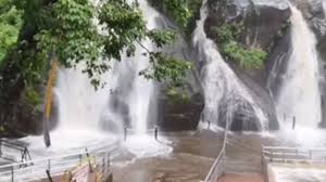 vellm.jpg